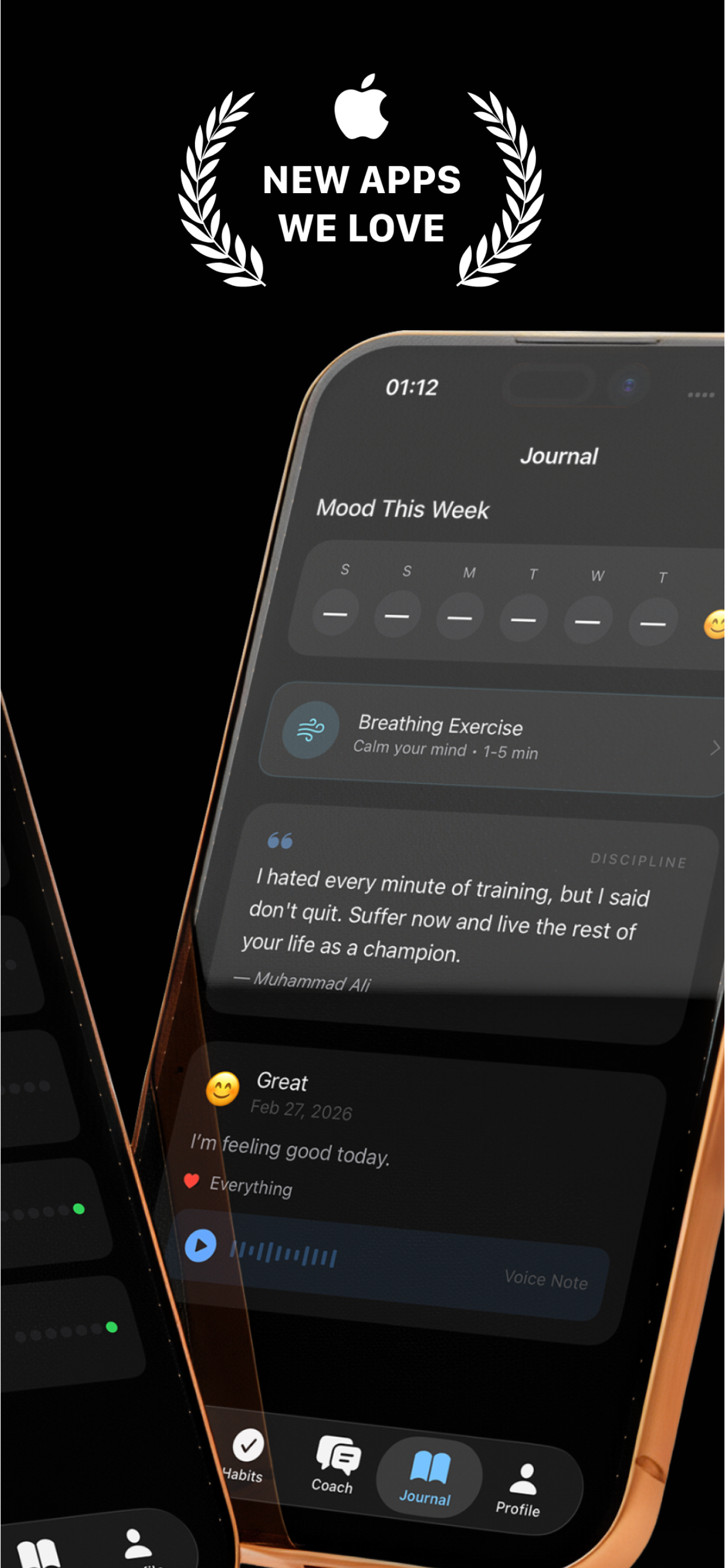 Journal